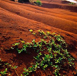 菲律宾背景叙事冒险游戏 《Until That》宣布2024年发售